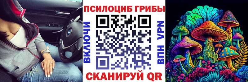 купить наркотики сайты  Верхотурье  Псилоцибиновые грибы Cubensis 