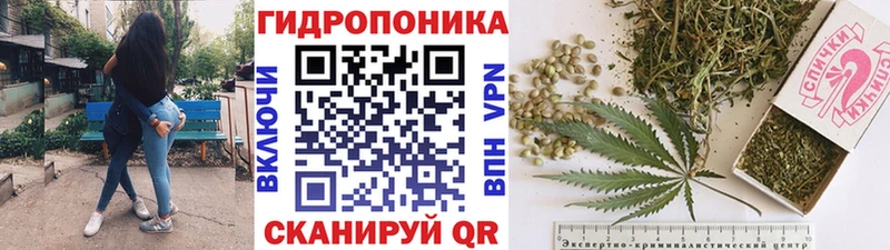 Бошки марихуана THC 21%  что такое   Верхотурье 
